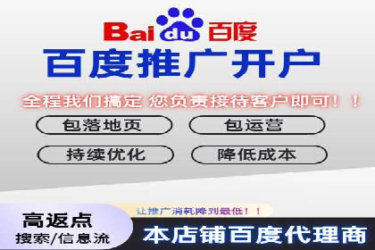深度解析：百度竞价排名的成功案例及启示